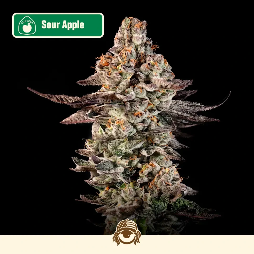 Cali-Automáticas-Auto-Sour-Apple.webp