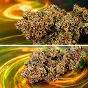 Auto-slush-mint-cake_4.webp