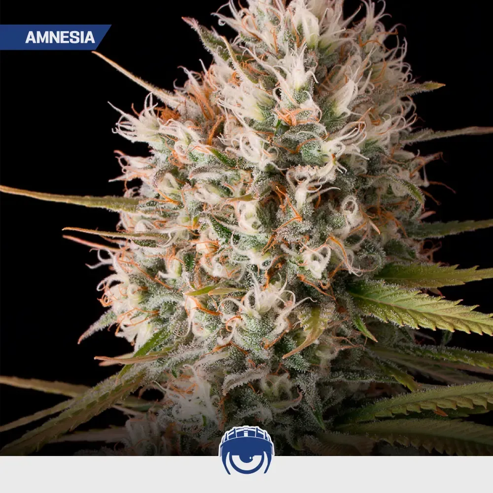 Energy-mix_4.webp